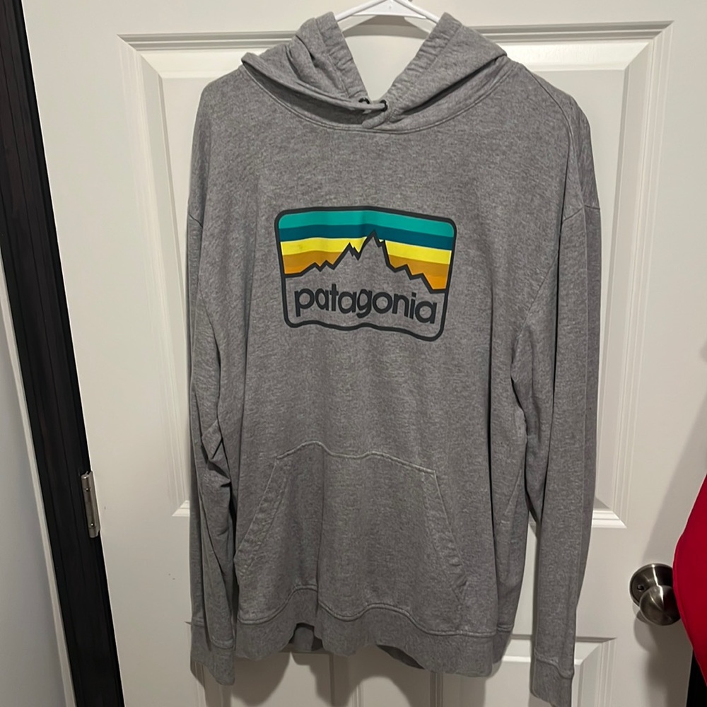 Patagonia cotton hoodie